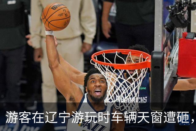 游客在辽宁游玩时车辆天窗遭砸,警方介入调查